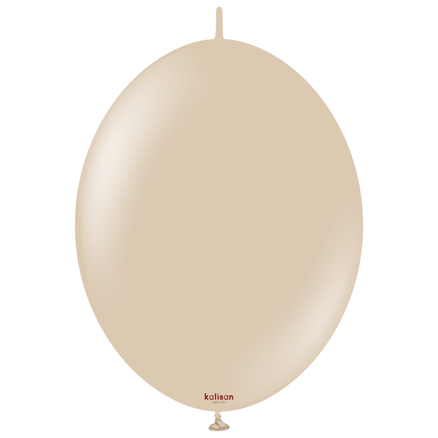 12'' K-Link Standard Fındık (Hazelnut) 50 Li