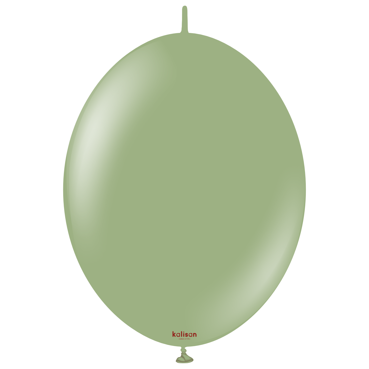 12'' K-Link Retro Okaliptus ( Eucalyptus) 50 Li