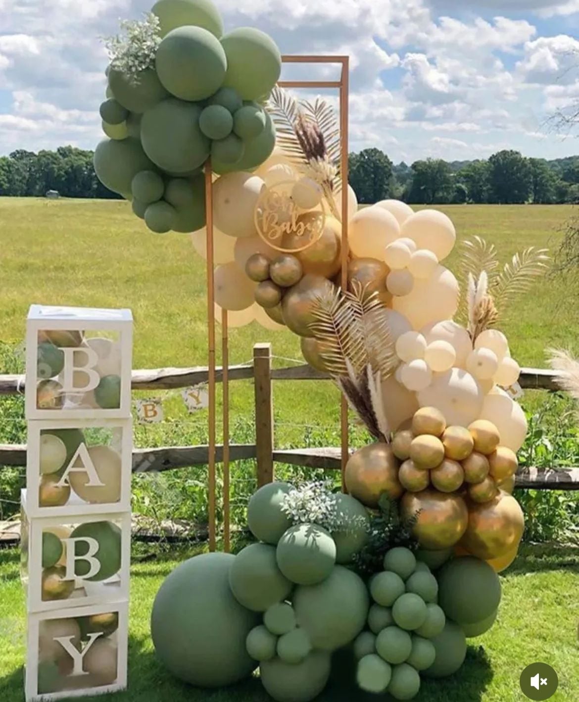 OKALİPTUS BALON SETİ