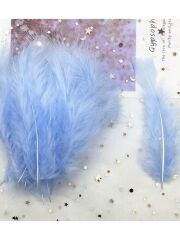 100LÜ MAVİ KUŞ TÜYÜ