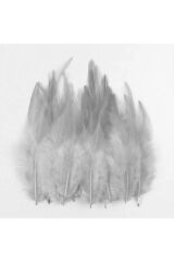 100LÜ GÜMÜŞ KUŞ TÜYÜ