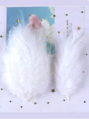 50Lİ BEYAZ KUŞ TÜYÜ