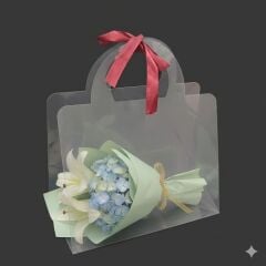 ÇANTA ŞEFFAF PVC 25*30*12CM 10 LU