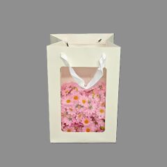 ÇANTA ÖN YÜZÜ ŞEFFAF BEYAZ RENK 20*16*30 CM 10 LU