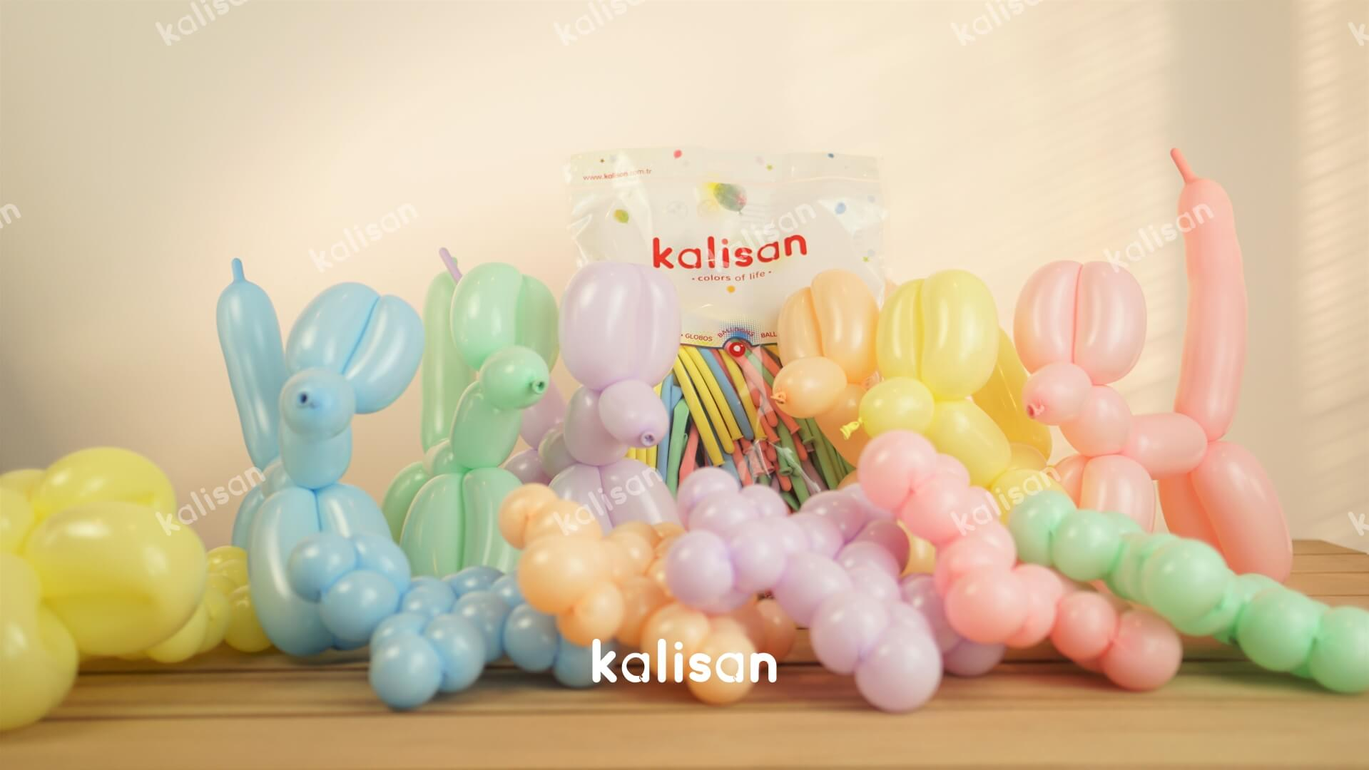 SOSİS BALON MAKARON KARIŞIK RENK