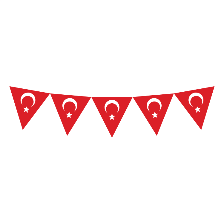 TÜRK BAYHRAĞI ÜÇGEN FLAMA