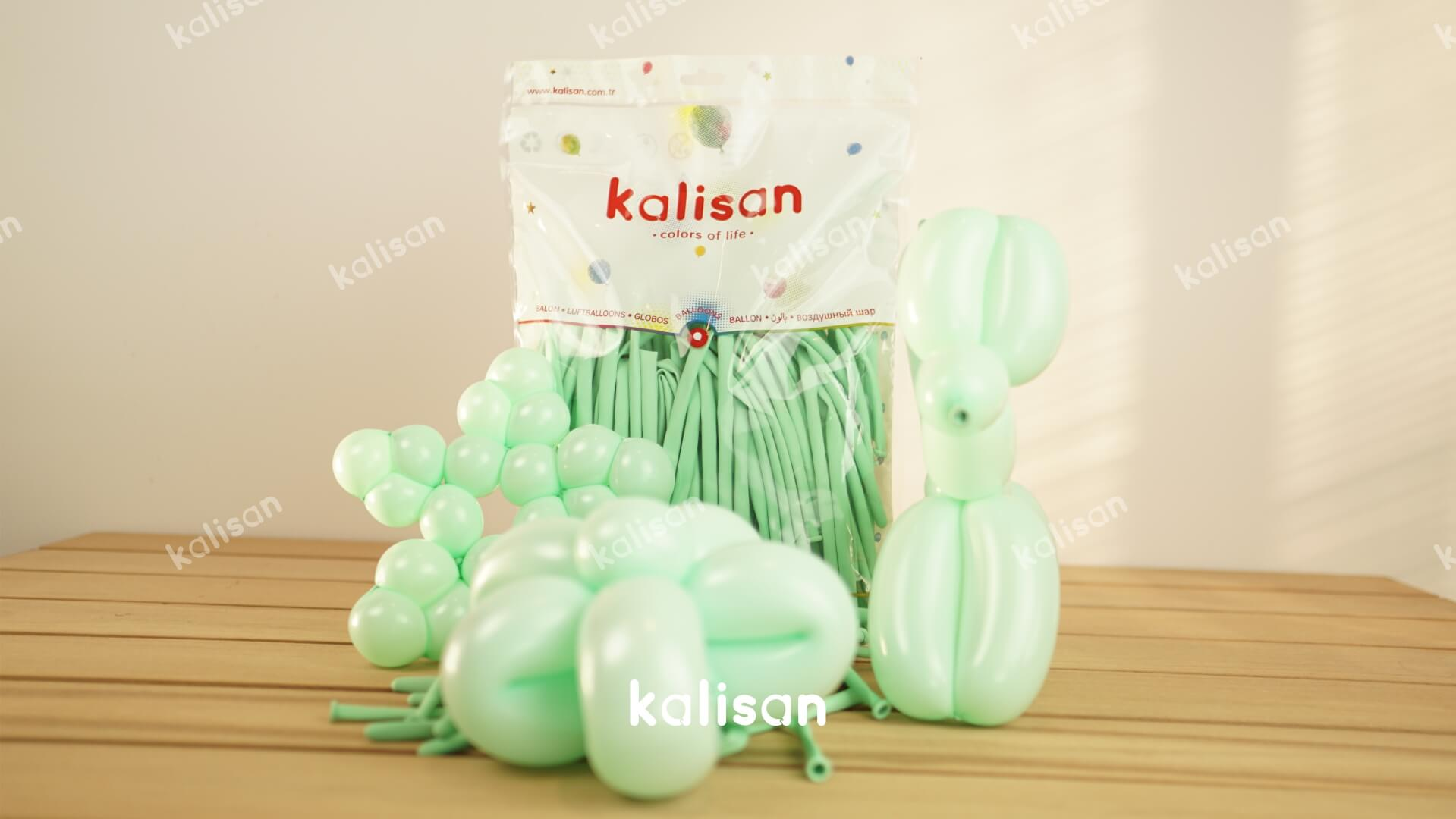 SOSİS BALON MAKARON MİNT YEŞİLİ